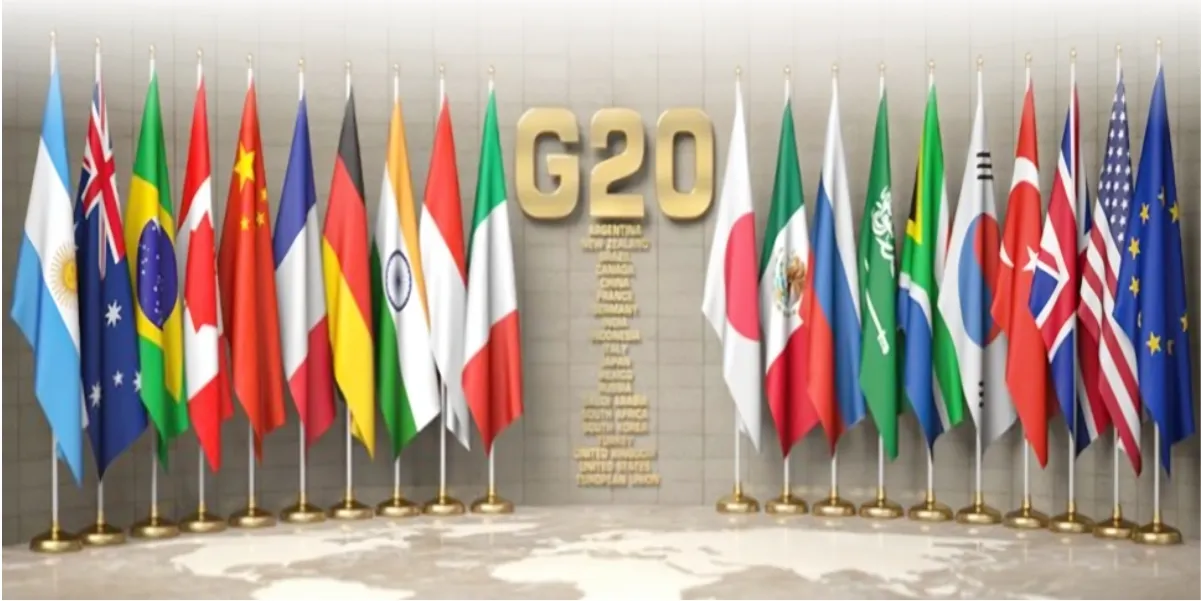 g 20