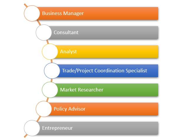 mba in international business