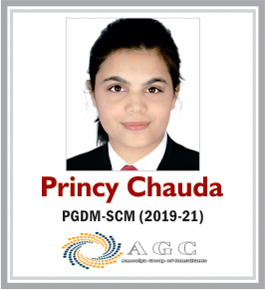 Internship - final placement of princy-chauda